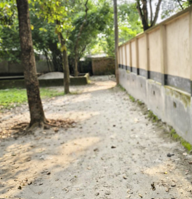 The image shows a dirt road with trees lining both sides of the path. The road appears to be made of concrete or stone, leading towards a fence at the end. There are no people visible in the photo, but there are several leaves scattered along the ground and on the fence.