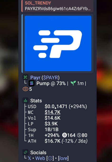 Screenshot of a crypto token dashboard showing 'Payr ($PAYR)' stats including USD $0.0.1471 (+294%), MC $14.7K, and Vol $14.6K.