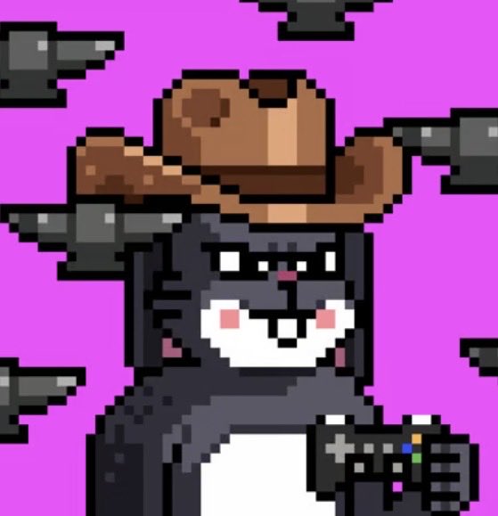 A pixel art character of a black cat wearing a brown cowboy hat and holding a game controller, set against a purple background with floating guns.