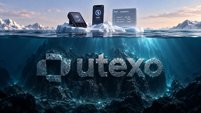 A promotional graphic for 'Dutexo' showing payment terminal devices and code floating on an iceberg above water, with the brand name 'Dutexo' spelled out in ice-textured letters underwater.