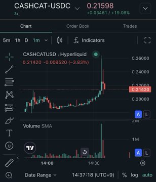The image shows a CASHCAT-USDC perpetual futures chart on Hyperliquid trading at $0.21598, up 19.08%, with a recent sharp upward spike visible on the 5-minute timeframe near 14:30. This illustrates the post's warning about significant price gaps between spot (200M) and futures (210M) markets, along with the volatile 5% spread caused by Hyperliquid's own liquidity providers at the time of the CASHCAT listing.