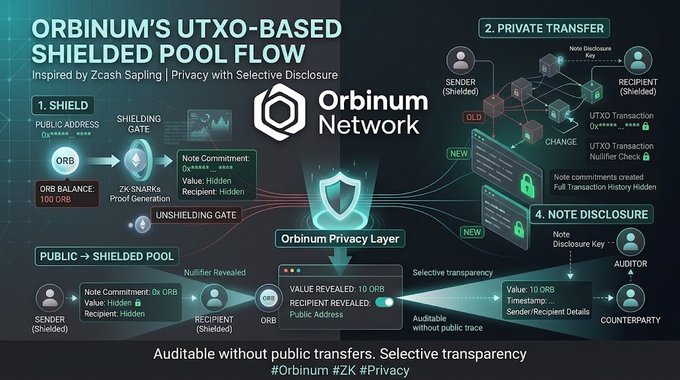 A diagram titled 'ORBINUM'S UTXO-BASED SHIELDED POOL FLOW' explains a privacy system inspired by Zcash Sapling, illustrating shielding, private transfer, and unshielding processes involving senders, recipients, and auditors with note commitments and nullifier checks.