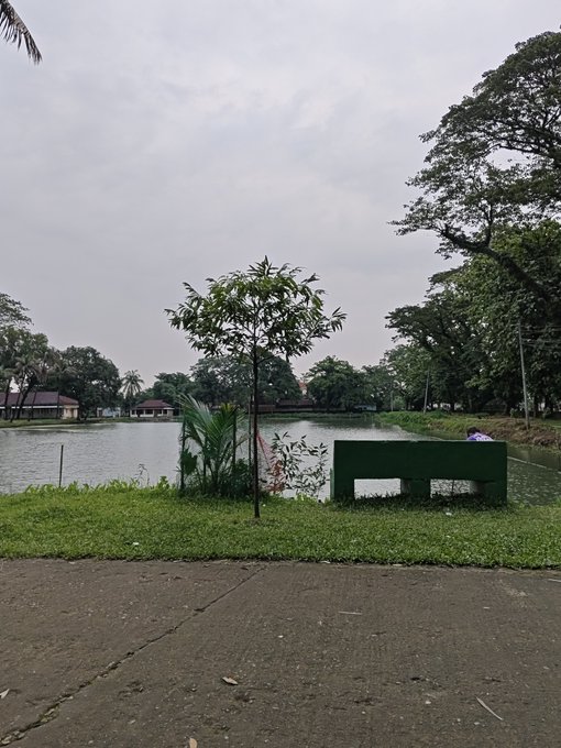 The image shows a park with a bench near a body of water, such as a lake or pond. There are also palm trees present in the scene. The photo has been edited to focus solely on the bench by placing it centrally within the frame. The caption above the image reads "Good Afternoon, Tria Fam Most projects talk about adoption. @useTria is quietly building the experience that makes adoption possible. No complexity. No barriers. Just smooth onboarding for the next wave of users. The future of Web3 won'n be louder. It will be simpler."