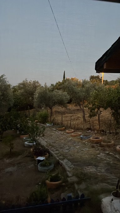 An evening view through a window screen overlooking a garden with olive trees, potted plants arranged along a stone path, and a soft sunset sky.