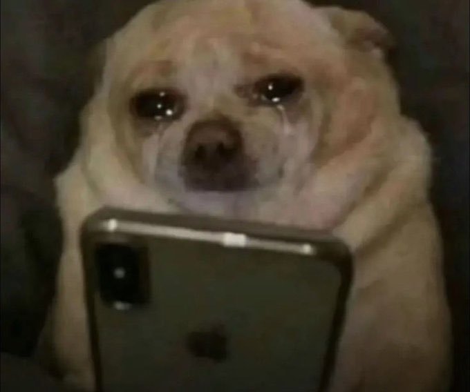 A small light-colored dog with a tear rolling down its face holds up an iPhone, appearing to take a teary-eyed selfie. The melancholic image humorously mirrors the post's tone of weary resilience, capturing the author's lament about not winning yet and the emotional weight of "showing up again" for another round on TermMaxFi.