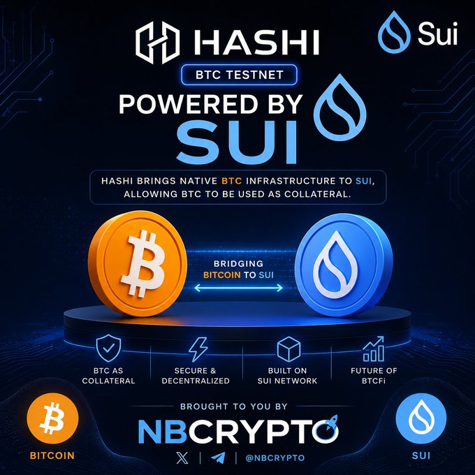 A promotional graphic for Hashi, a BTC Testnet bridging infrastructure that brings native Bitcoin to the Sui blockchain, allowing BTC to be used as collateral, presented by NBCrypto (@NBCRYPTO).