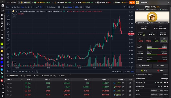 A cryptocurrency trading platform screenshot showing the CATE/SOL trading pair chart on decentralized exchange, displaying price action, volume, and a 13.08% gain indicator.