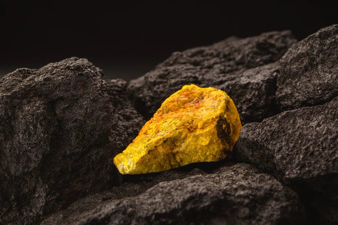 A rough, yellow-gold ore rock resting on a bed of dark, textured coal.