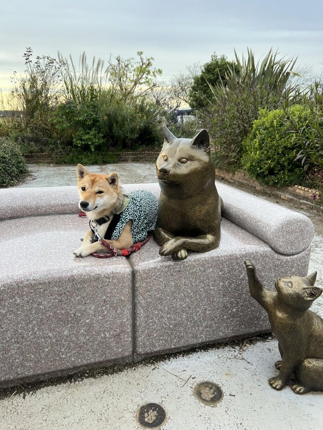 The image features a dog, possibly a Shiba Inu or a similar breed, sitting on top of a couch with its paws raised as if reaching for something. The dog appears to be wearing a dress that says "San chan loves doge". There are also two statues in the scene - one is a cat statue and the other is a dog statue.
