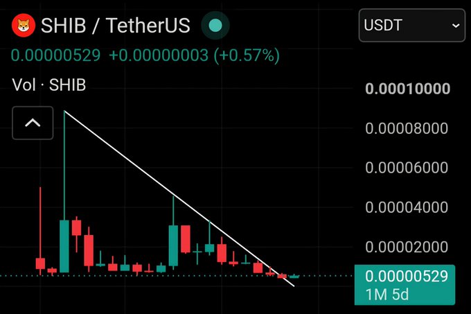 A candlestick chart of $SHIB/TetherUS shows a clear downtrend over the past month, with the price declining from highs above 0.000008000 to the current level of 0.00000529 (+0.57%), reflecting the meme coin's significant recent losses.
