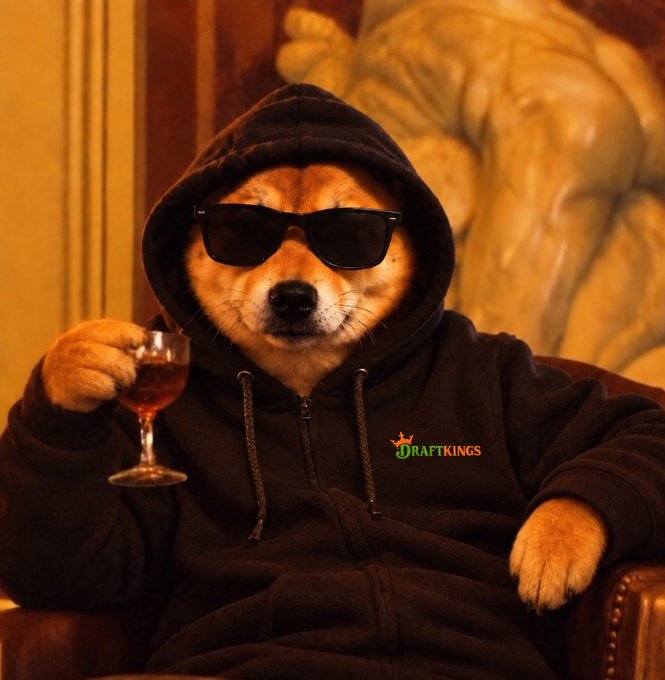 A Shiba Inu dog dressed in a black "DraftKings" hoodie and sunglasses lounges in a luxurious chair while holding a glass of wine, embodying a carefree, high-roller vibe that matches the "Are you $ALLINU?" caption—a playful nod to going all-in on a meme coin.