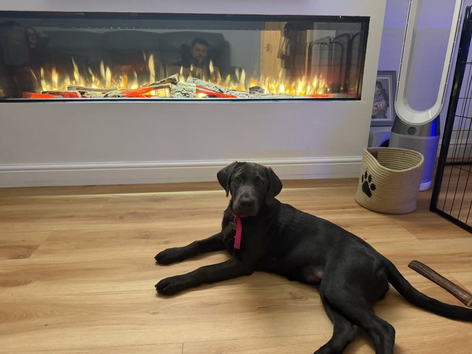 A black Labrador retriever wearing a red collar lying on a wooden floor in front of an electric fireplace with glowing flames, next to a woven basket.