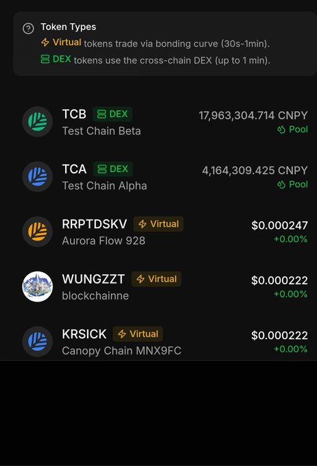 A token types listing showing TCB (Test Chain Beta) and TCA (Test Chain Alpha) as DEX tokens, along with virtual tokens RRPTDSKV, WUNGZZT, and KRSICK with their prices.
