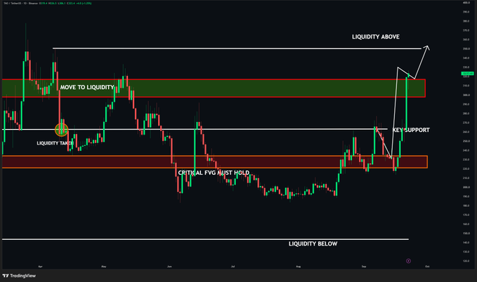 A TradingView candlestick chart of TSLA (Tesla) showing annotated technical analysis levels such as 'LIQUIDITY ABOVE', 'KEY SUPPORT', 'CRITICAL FVG MUST HOLD', and 'LIQUIDITY TAKE'.