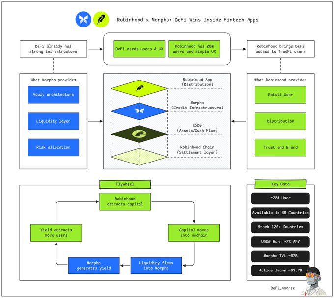 A flowchart titled 'Robinhood x Morpho: DeFi Wins Inside Fintech Apps' illustrating how Morpho provides vault architecture, liquidity, and risk allocation while Robinhood provides users, distribution, and trust, with key metrics like ~28M users and Morpho TVL ~$7B.