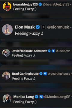A collection of social media posts from prominent figures—@bearableguy123, Elon Musk, David "JoelKatz" Schwartz, Brad Garlinghouse, and Monica Long—all sharing the identical message "Feeling Fuzzy ;)". The synchronized posts suggest a coordinated tease or campaign, possibly related to a new blockchain or crypto project.