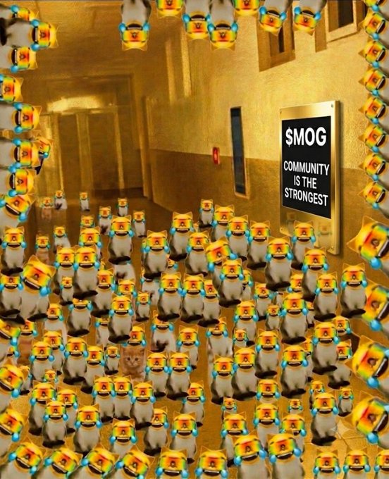 A meme showing a hallway filled with dozens of identical cartoon pandas holding lighters, with a sign on the wall reading '$MOG COMMUNITY IS THE STRONGEST' and a single small orange cat visible among the pandas.