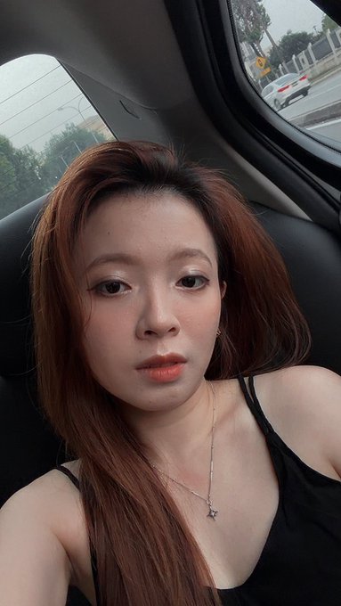 A selfie of a woman with long reddish-brown hair wearing a black top and a delicate necklace, taken inside a car.