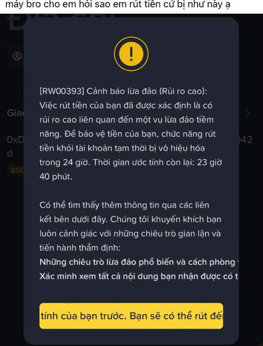 A Vietnamese cryptocurrency withdrawal warning message showing a fraud alert (Cảnh báo lừa đảo) in code [RW00393] that detects high-risk withdrawal activity and temporarily voids the withdrawal function for 24 hours, with a countdown of 23 hours and 40 minutes remaining.