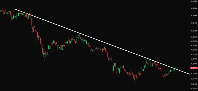 A candlestick chart of $DOGE/USDT showing a descending trendline across the entire visible price history, with price currently testing resistance around the $0.08033 level. The tight consolidation near the trendline suggests a potential breakout setup that would support the "getting ready for a pump" thesis.