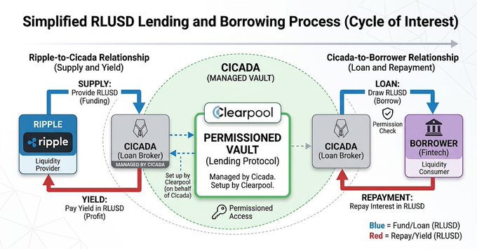 A simplified diagram illustrating the RLUSD Lending and Borrowing Cycle of Interest, showing the relationship between Ripple (Liquidity Provider) and Cicada (Loan Broker), which supplies RLUSD to a Clearpool Permissioned Vault managed by Cicada, and the subsequent loan process from Cicada to a Fintech Borrower with repayment and yield flows back in RLUSD.

The image visually supports the post by highlighting how Ripple and Cicada's collaborative DeFi protocol is moving beyond traditional mechanical profit tactics like liquidity mining and arbitrage loops, instead introducing a structured permissioned lending model with real-world borrowers (Fintech) generating yield through tangible financial activity.