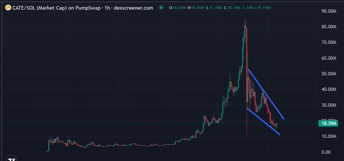 A 1-hour DexScreener chart for CATE/SOL (Market Cap on Pumpswap) shows the token's price surging to a peak around 80M before pulling back into a descending channel pattern, currently trading at approximately 18.39M. The chart visually supports the post's claim of a CATE rally pump that has since retraced significantly from its highs.