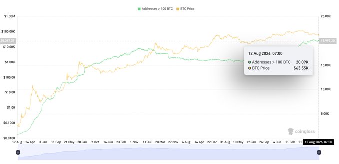 A financial chart from coinglass comparing 'Addresses > 100 BTC' (green line) and 'BTC Price' (orange line) with a tooltip showing '12 Aug 2026, 07:00: Addresses > 100 BTC 20.09K, BTC Price $63.55K'.