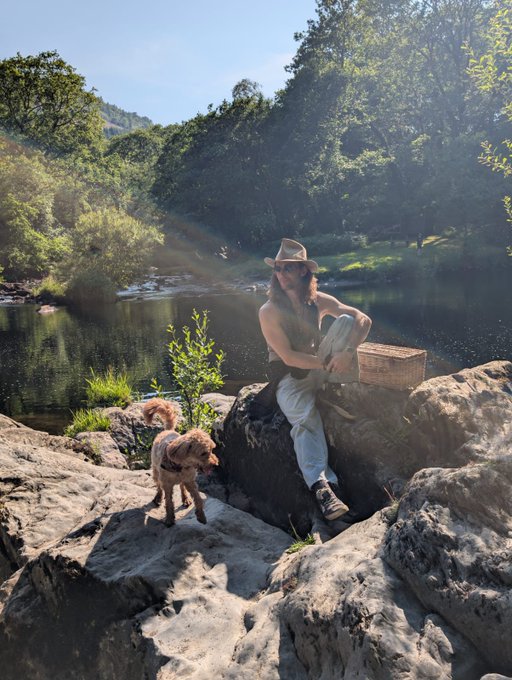 A woman in a wide-brimmed hat sits on rocks beside a river with a picnic basket, accompanied by a small brown dog, in a sunlit forest landscape.