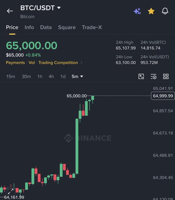 A cryptocurrency trading interface showing BTC/USDT (Bitcoin) priced at 65,000.00 USDT, up 0.84%, with 24h high of 65,107.99 and low of 63,100.00 on the Binance platform.