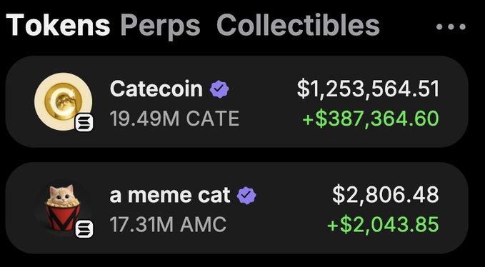 A screenshot of a "Tokens Perps Collectibles" portfolio showing two meme coin holdings: 19.49M Catecoin ($CATE) valued at $1,253,564.51 with a gain of $387,364.60, and 17.31M "a meme cat" ($AMC) valued at $2,806.48 with a gain of $2,043.85. The image illustrates the author's claim of being a $CATE multimillionaire, providing visual proof of their substantial holdings ahead of their promised giveaway of 80,000 CATE.