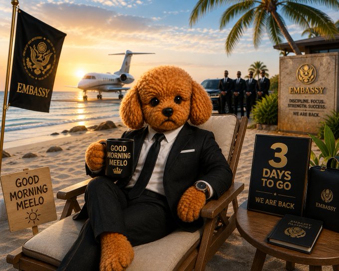 An orange poodle dressed in a black suit and tie, sitting in a beach chair holding a 'GOOD MORNING MEELO' mug, with 'EMBASSY' branding and a '3 DAYS TO GO' sign, set against a sunset beach backdrop with a private jet.