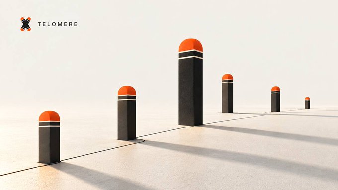Telomere logo in the top left corner above an illustration of several black pillars with orange domes connected by a line.