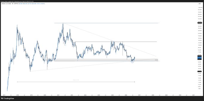 A TradingView monthly candlestick chart of Litecoin (LTC/USD) showing roughly a decade of price action ranging between horizontal support near $40 and resistance around $400, with the price recently sweeping weekly demand and holding the rising monthly trendline support.