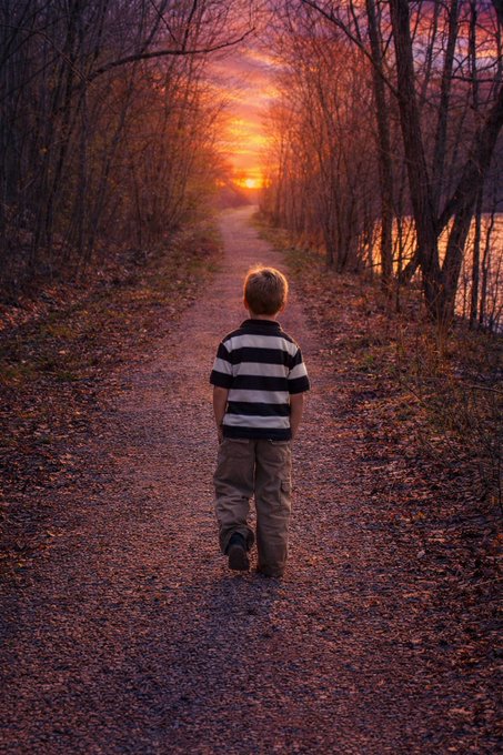 The image features a young boy walking down a path with trees lining both sides of the road at sunset. The boy appears to be alone as he walks away from the camera. The scene suggests that the child might be exploring nature or going on an adventure, possibly during a family outing or vacation. The setting sun and the presence of trees create a serene atmosphere in the image, evoking feelings of tranquility and peacefulness.