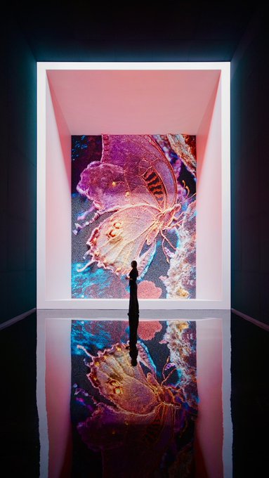 A person silhouetted against a glowing, colorful abstract artwork of a butterfly and floral forms in a gallery space with a reflective floor. The image reflects the immersive, art-focused experience of Dataland, showcasing one of the visually striking digital artworks featured in the space mentioned in the post.