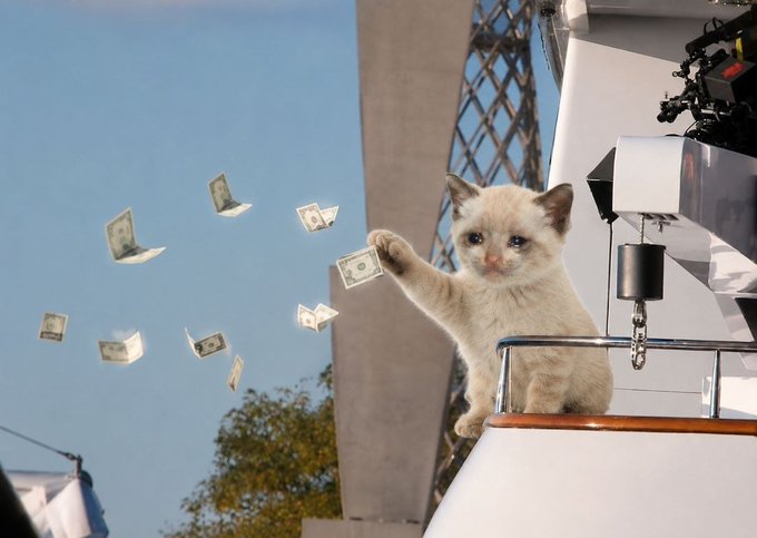 A humorous edited photo of a sad-looking cream-colored kitten sitting on what appears to be a boat, reaching its paw out toward flying dollar bills against a blue sky.