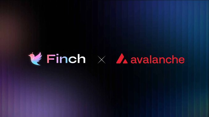 A promotional graphic displays the logos 'Finch' and 'avalanche' separated by an 'x' on a dark, iridescent background.