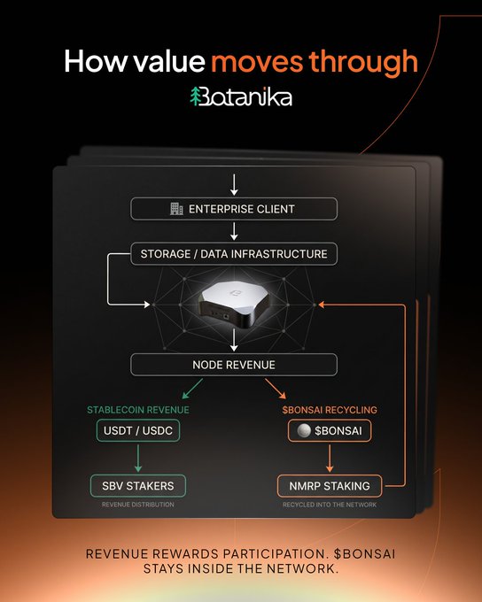 An infographic titled 'How value moves through Botanika' shows a flowchart detailing revenue flow including Enterprise Client, Storage/Data Infrastructure, Node Revenue, Stablecoin Revenue (USDT/USDC), and Bonsai Recycling.