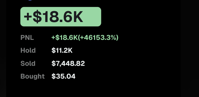 A trading profit and loss summary displaying +$18.6K PNL (+46153.3%), with $11.2K held, $7,448.82 sold, and $35.04 bought.