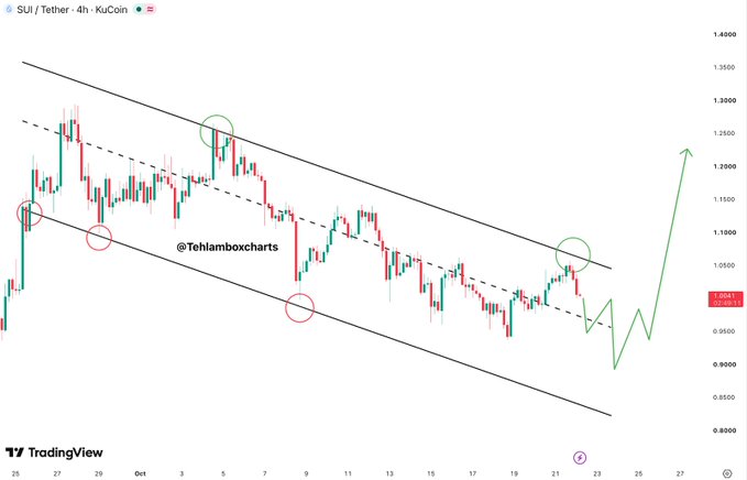 A TradingView 4-hour SUI/Tether (KuCoin) chart shows SUI trading near $1.009 within a descending channel, marked by repeated support reactions and green circled areas. The chart projects a possible rebound toward $1.20 if SUI breaks out, matching the bullish caption.