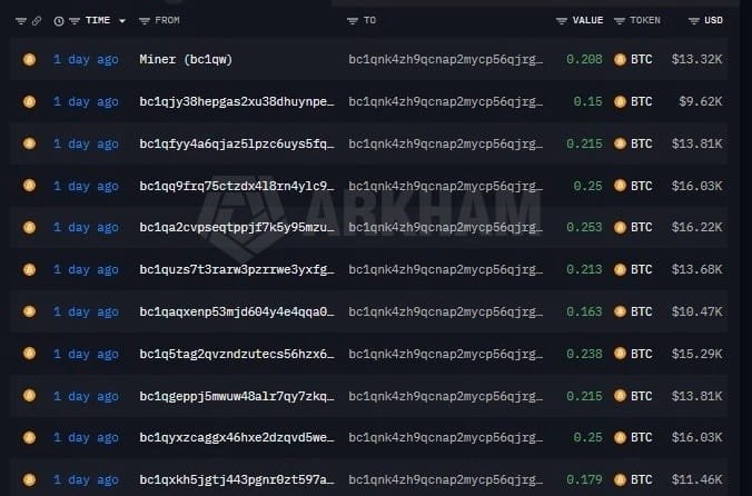 A blockchain transaction history on Arkham showing multiple Bitcoin transfers from various addresses to "bc1qnk4zh9qcnap2mycp56qjrg..." within the last day, valued between $9.62K and $16.22K.