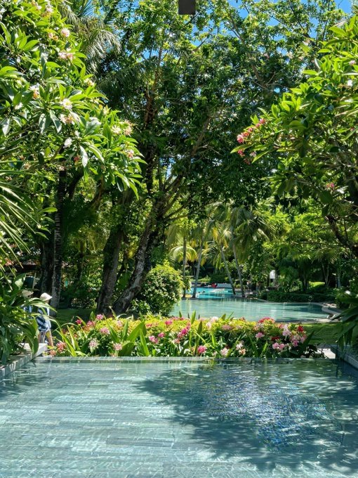 A tropical resort scene featuring a swimming pool in the foreground, surrounded by lush greenery, palm trees, and pink flowering bushes.