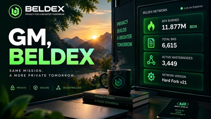 A promotional graphic for 'BELDEX' cryptocurrency displays 'GM, BELDEX' alongside network statistics including 'BDX BURNED 11.877M' and 'TOTAL BNS 6,615' on a dark dashboard.