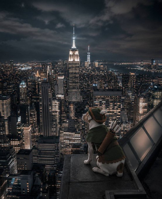 A dog wearing a green Robin Hood-style outfit and carrying a quiver of arrows sits on a rooftop ledge overlooking a nighttime view of New York City's skyline, including the Empire State Building.