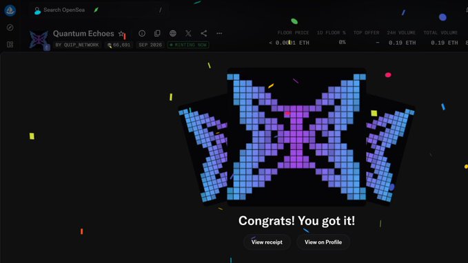 Screenshot from OpenSea NFT marketplace showing a 'Quantum Echoes' digital collectible by QUIP_NETWORK with a 'Congrats! You got it!' purchase confirmation message.