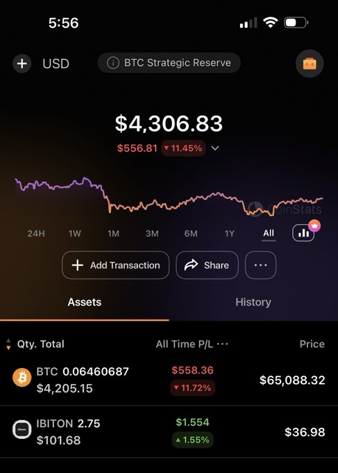 A mobile app screen displays a portfolio titled "BTC Strategic Reserve" showing $4,306.83 in USD with an 11.45% decline (-$556.81), alongside holdings of 0.06460687 BTC ($4,205.15, down 11.72%) and 2.75 shares of IBIT ($101.68, up 1.55%), reflecting the user's diversified accumulation strategy.