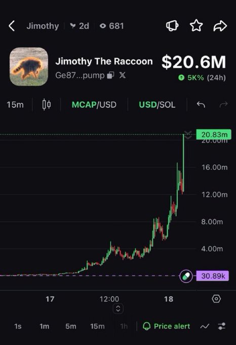 The image shows a Dexscreener chart for "Jimothy The Raccoon" (Ge87...pump), which surged from $30.89K to a $20.83M market cap, illustrating the post's point about a viral animal memecoin going from near zero to $20M with 19m volume in a straight-line rally.