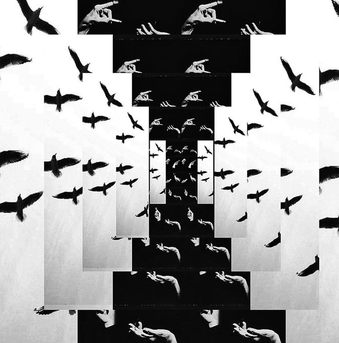 A surreal, mirrored black-and-white collage featuring birds in flight arranged symmetrically around hands and faces, with a tunnel-like central composition. The chaotic, dreamlike imagery evokes a disorienting psychological atmosphere fitting the heavy metal band "GM" theme.