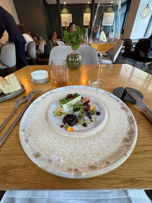 A glass of rosé wine accompanies a beautifully plated artisanal dish featuring beets, greens, and fruit at an upscale restaurant, capturing the contrast between sophisticated dining and the chaotic world of memecoin trading.