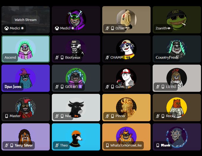 A grid of user avatars from what appears to be a livestream or social platform, featuring various NFT profile pictures including characters named Medici, Cult, 2zanith, Bootwax, CHAMP, CountryFresh, Dpac Jones, GiDzei, Gunn, Master, Nile, Pinner, Rocky, Terry Silver, Theo, WhatsTomorrowLike, and Wank.